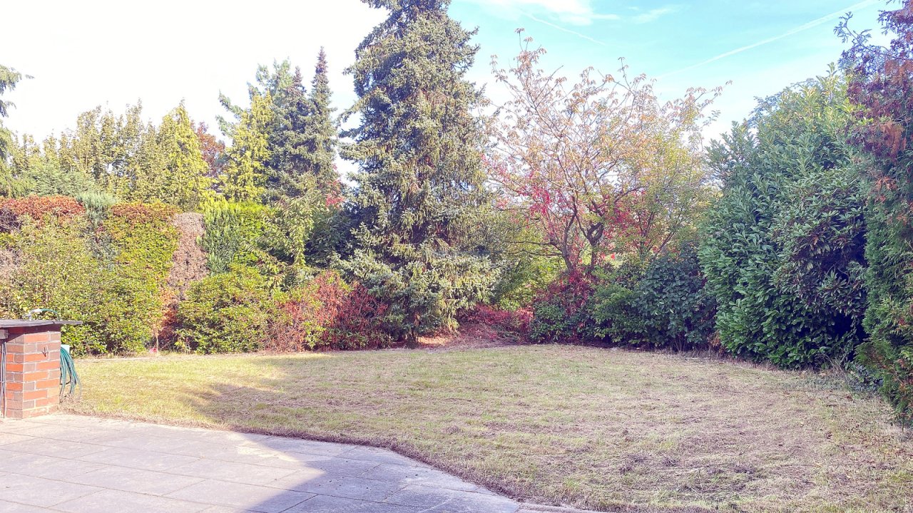 Gartenbild
